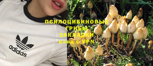 мяу мяу мука Алексеевка