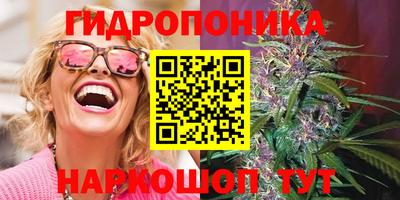 ALPHA PVP Малгобек