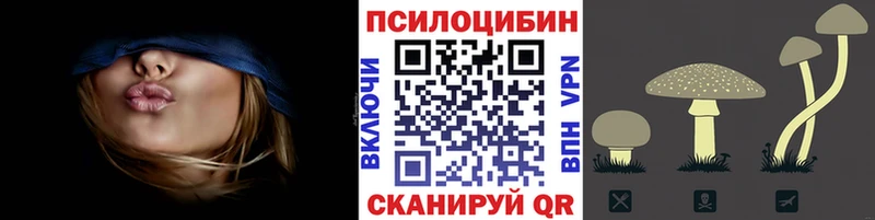 Псилоцибиновые грибы Psilocybe  как найти наркотики  Джанкой 
